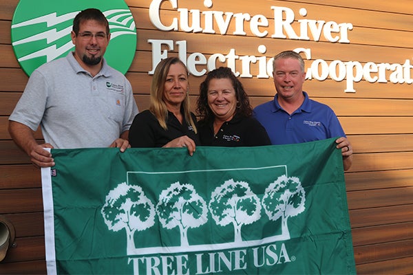 Right-of-Way Tree Line USA