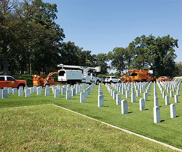 Cuivre Employees trimming trees at Jefferson Barracks National Cemetery