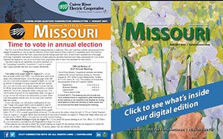 August 2021 Issue of Rural Missouri/Current Times