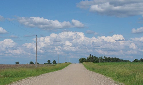 A powerline on a rural road.