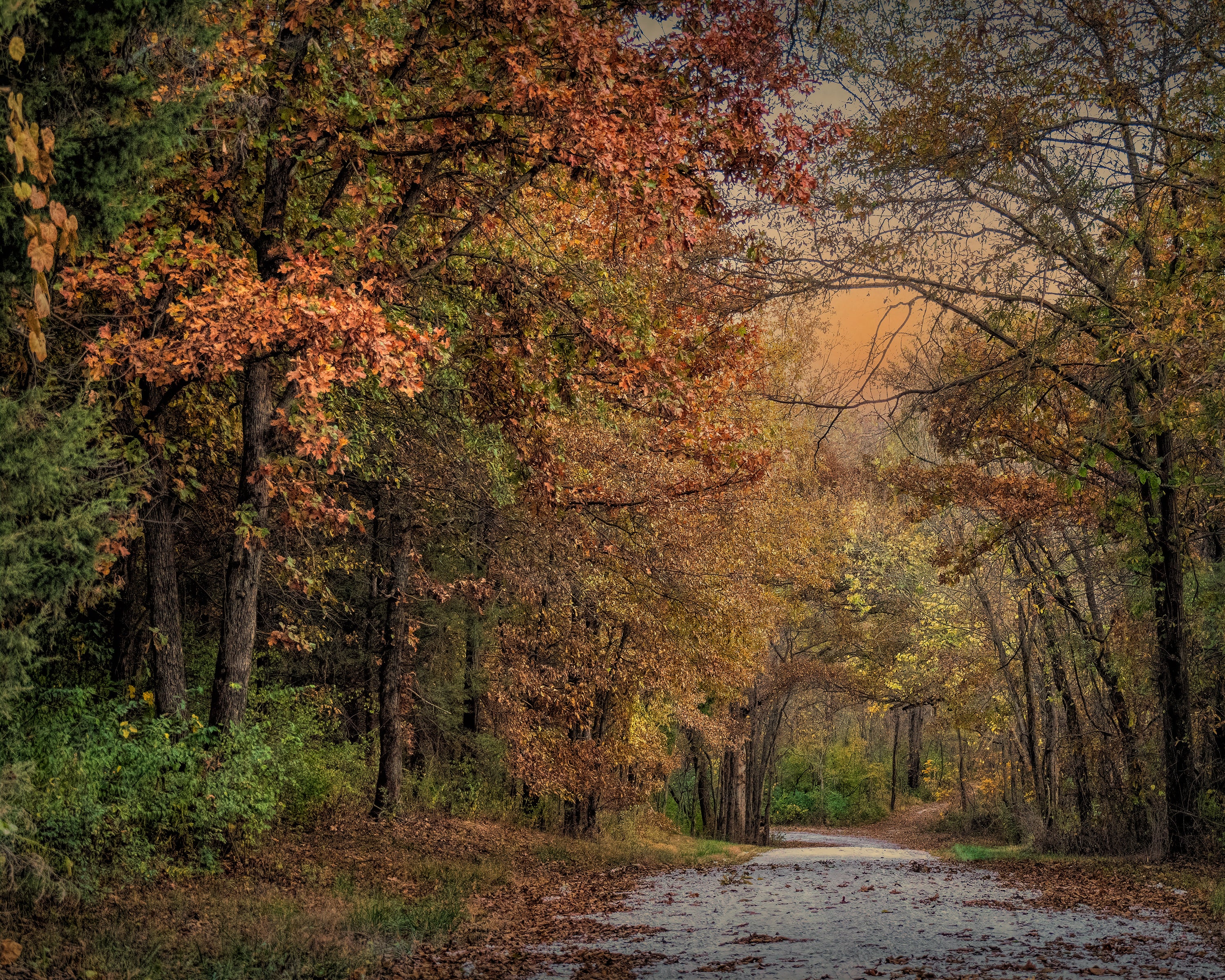 “Fall Scene at Busch Wildlife” First Place Carolyn Schlueter, St. Charles