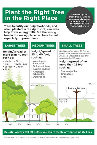 Right tree right place guidelines