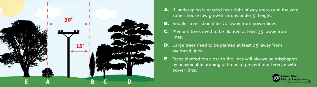 A graphic showing proper tree planting near power lines.