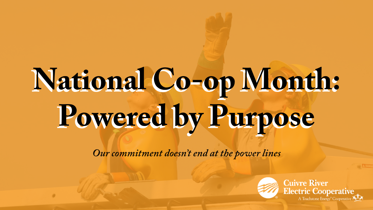 National Co-op Month: Powered by Purpose