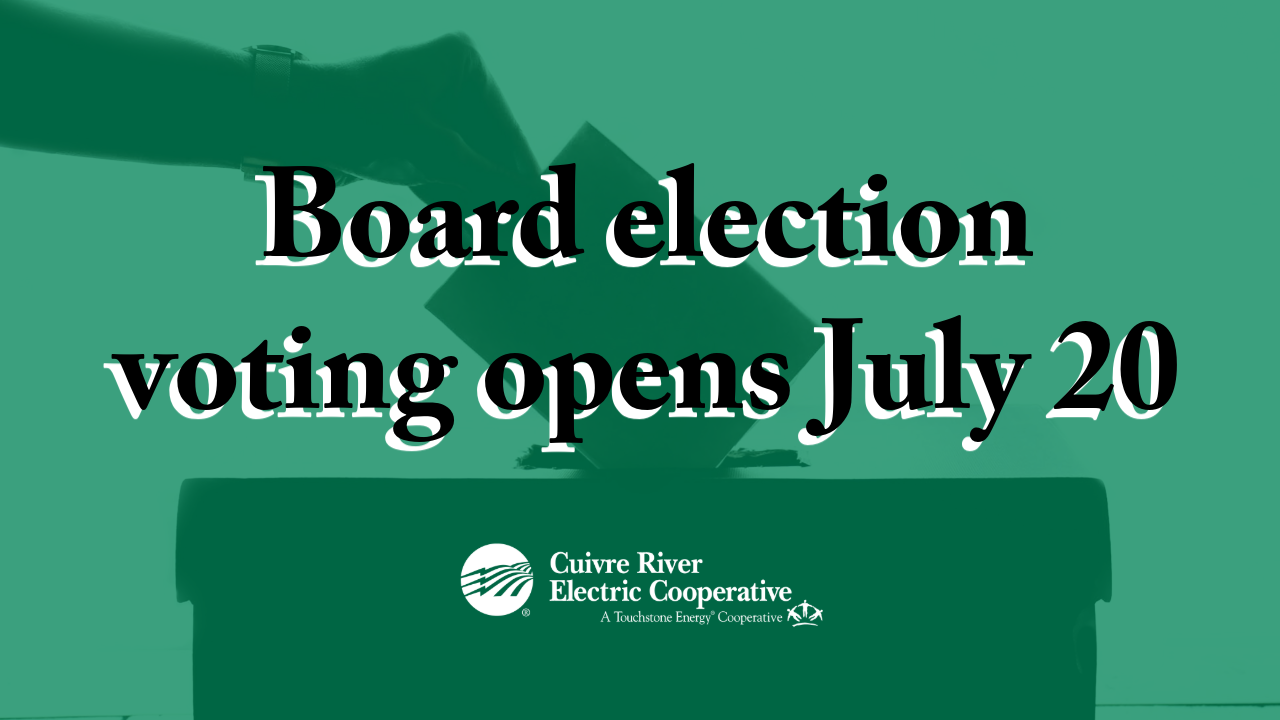 Board election voting opens July 20